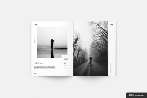 黑白美學 攝影與平面設計在產品畫冊中的融合藝術